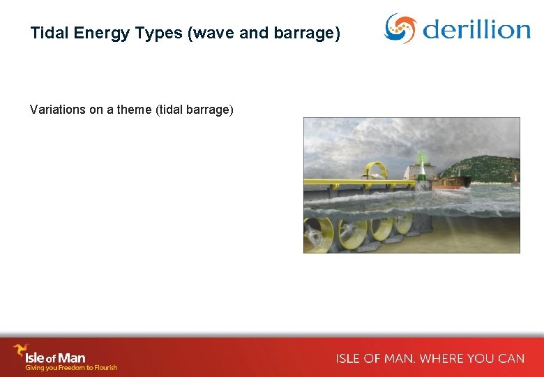 Tidal Energy Types (wave and barrage) Variations on a theme (tidal barrage) 
