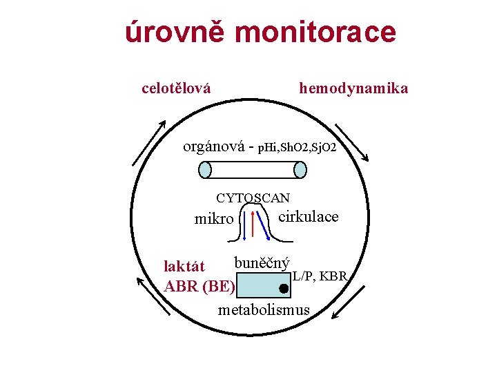 úrovně monitorace celotělová hemodynamika orgánová - p. Hi, Sh. O 2, Sj. O 2