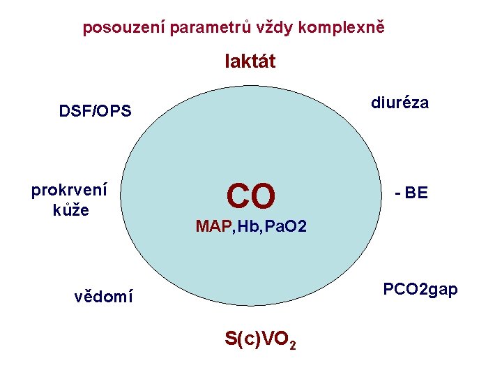 posouzení parametrů vždy komplexně laktát diuréza DSF/OPS prokrvení kůže CO - BE MAP, Hb,