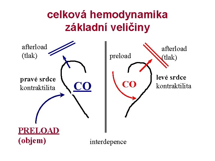celková hemodynamika základní veličiny afterload (tlak) pravé srdce kontraktilita PRELOAD (objem) preload CO CO
