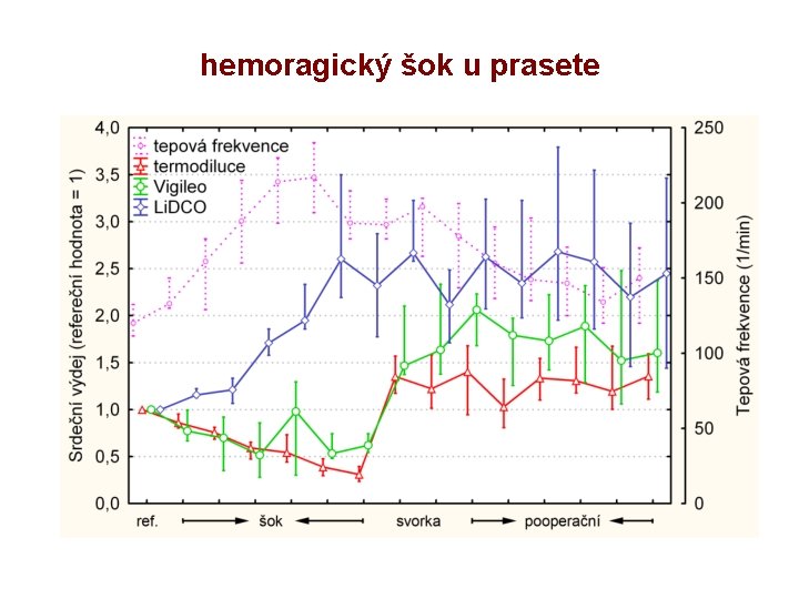 hemoragický šok u prasete 