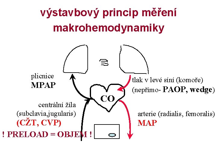 výstavbový princip měření makrohemodynamiky plicnice MPAP centrální žíla (subclavia, jugularis) (CŽT, CVP) ! PRELOAD