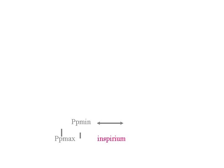 Ppmin Ppmax inspirium 