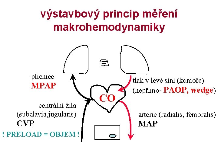 výstavbový princip měření makrohemodynamiky plicnice MPAP centrální žíla (subclavia, jugularis) CVP ! PRELOAD =