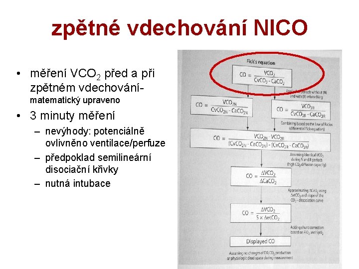 zpětné vdechování NICO • měření VCO 2 před a při zpětném vdechování- matematický upraveno