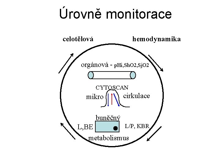 Úrovně monitorace celotělová hemodynamika orgánová - p. Hi, Sh. O 2, Sj. O 2
