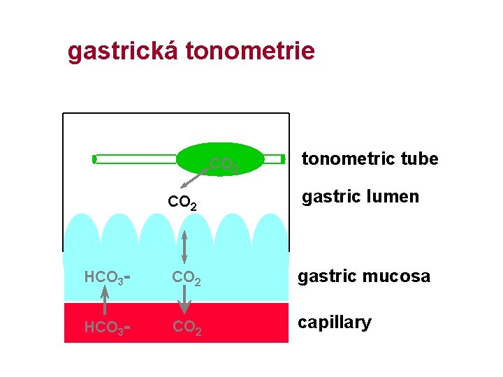gastrická tonometrie CO 2 tonometric tube CO 2 gastric lumen HCO 3 - CO