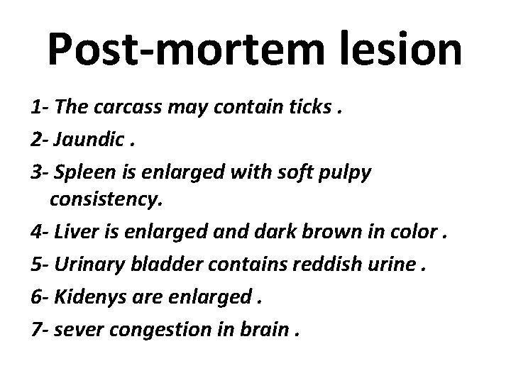 Post-mortem lesion 1 - The carcass may contain ticks. 2 - Jaundic. 3 -