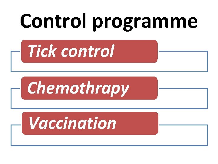 Control programme Tick control Chemothrapy Vaccination 