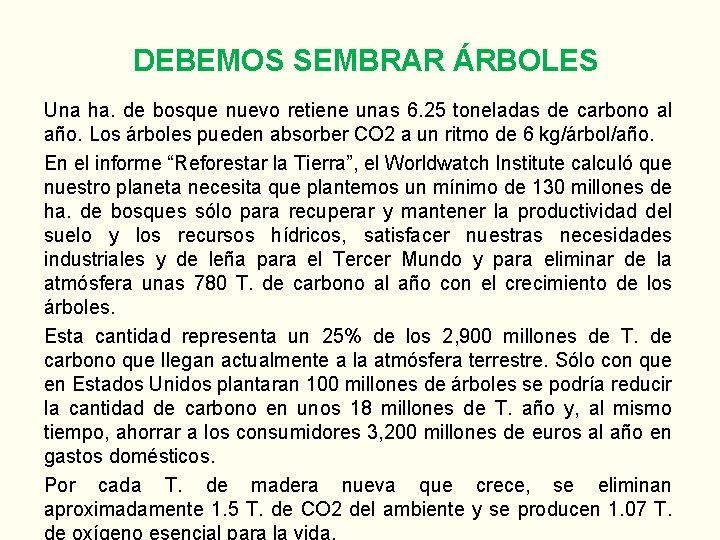 DEBEMOS SEMBRAR ÁRBOLES Una ha. de bosque nuevo retiene unas 6. 25 toneladas de