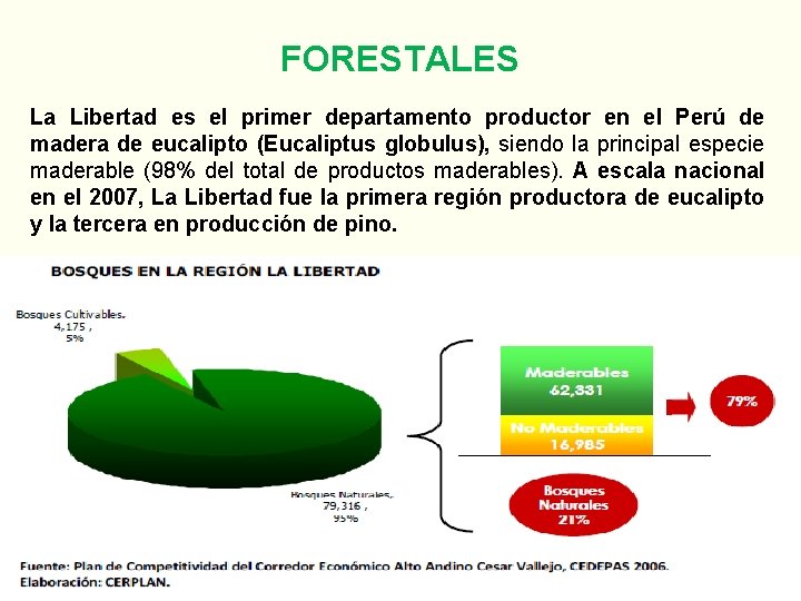 FORESTALES La Libertad es el primer departamento productor en el Perú de madera de