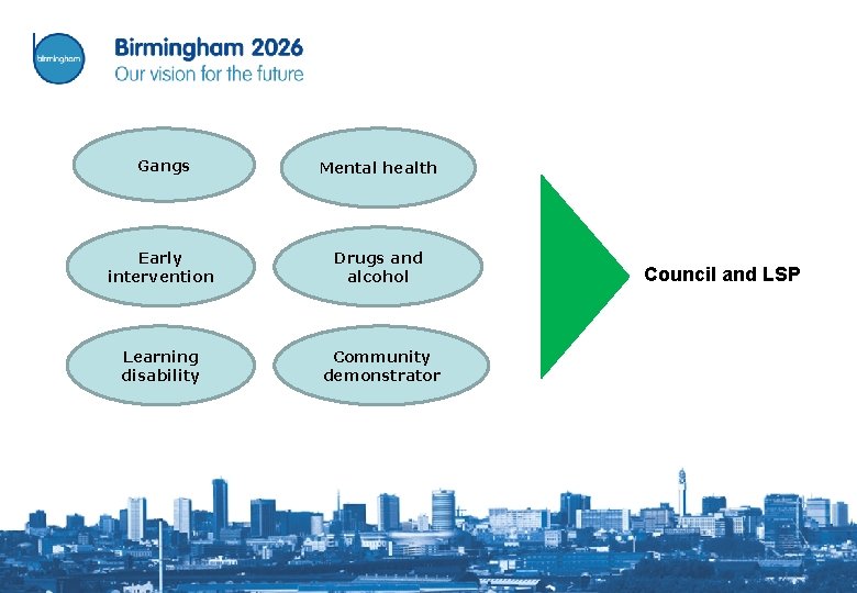 Gangs Mental health Early intervention Drugs and alcohol Learning disability Community demonstrator Council and