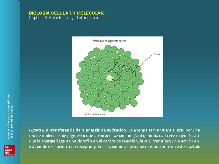 BIOLOGÍA CELULAR Y MOLECULAR Todos los derechos reservados. Mc. Graw-Hill Interamericana Editores Capítulo 6.