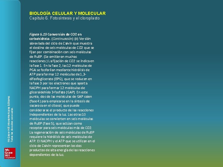 BIOLOGÍA CELULAR Y MOLECULAR Todos los derechos reservados. Mc. Graw-Hill Interamericana Editores Capítulo 6.