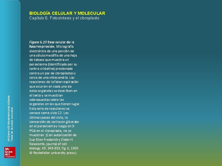 BIOLOGÍA CELULAR Y MOLECULAR Todos los derechos reservados. Mc. Graw-Hill Interamericana Editores Capítulo 6.