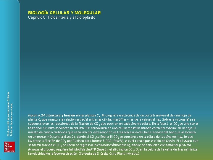 BIOLOGÍA CELULAR Y MOLECULAR Todos los derechos reservados. Mc. Graw-Hill Interamericana Editores Capítulo 6.