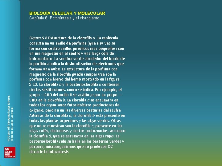 BIOLOGÍA CELULAR Y MOLECULAR Todos los derechos reservados. Mc. Graw-Hill Interamericana Editores Capítulo 6.