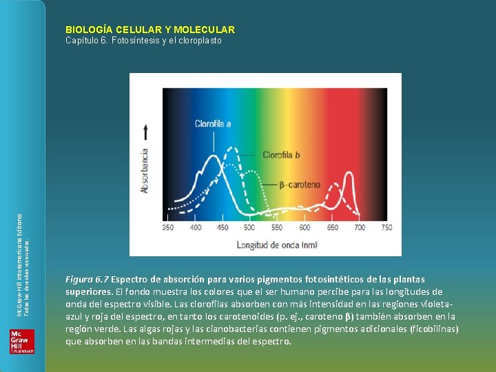 BIOLOGÍA CELULAR Y MOLECULAR Todos los derechos reservados. Mc. Graw-Hill Interamericana Editores Capítulo 6.