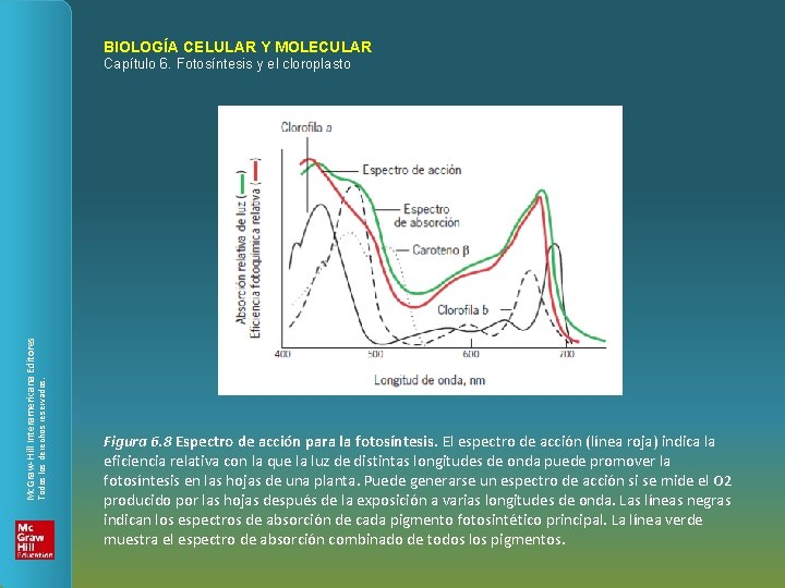 BIOLOGÍA CELULAR Y MOLECULAR Todos los derechos reservados. Mc. Graw-Hill Interamericana Editores Capítulo 6.