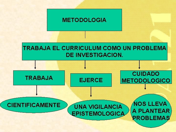 METODOLOGIA TRABAJA EL CURRICULUM COMO UN PROBLEMA DE INVESTIGACION. TRABAJA CIENTIFICAMENTE EJERCE CUIDADO METODOLOGICO