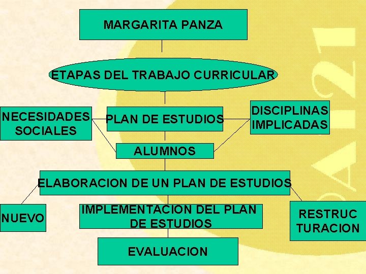MARGARITA PANZA ETAPAS DEL TRABAJO CURRICULAR NECESIDADES SOCIALES PLAN DE ESTUDIOS DISCIPLINAS IMPLICADAS ALUMNOS