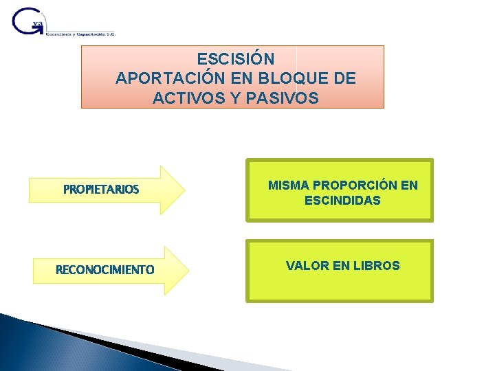 ESCISIÓN APORTACIÓN EN BLOQUE DE ACTIVOS Y PASIVOS PROPIETARIOS RECONOCIMIENTO MISMA PROPORCIÓN EN ESCINDIDAS