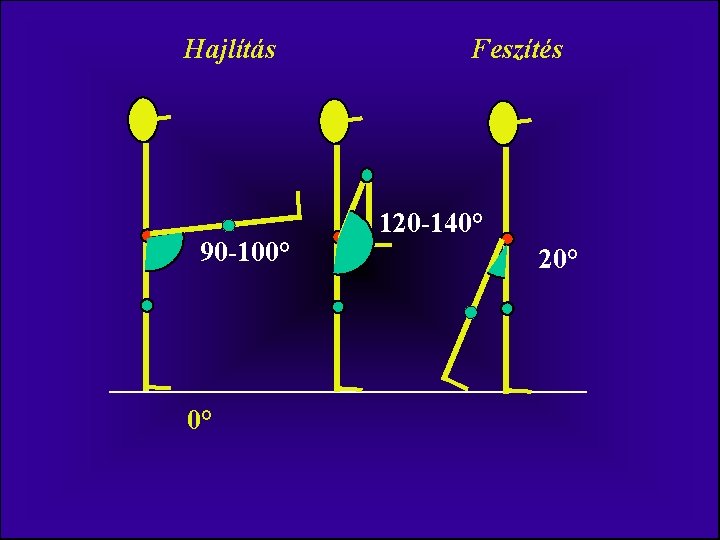 Hajlítás 90 -100° 0° Feszítés 120 -140° 20° 