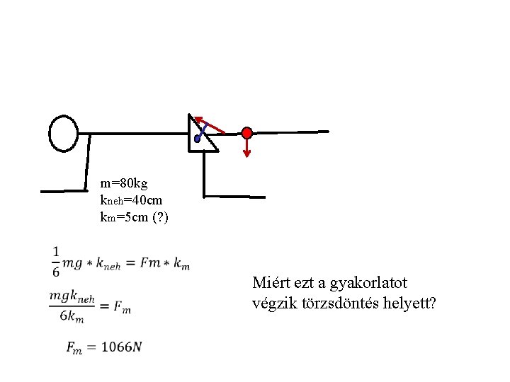 m=80 kg kneh=40 cm km=5 cm (? ) Miért ezt a gyakorlatot végzik törzsdöntés