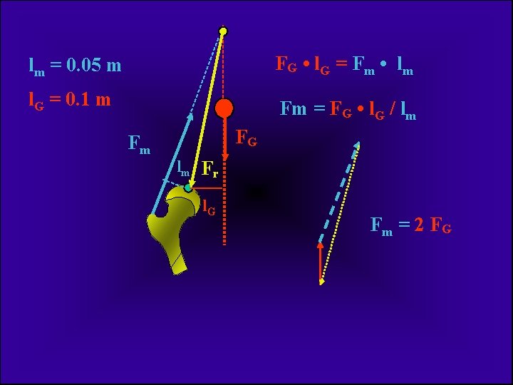 lm = 0. 05 m FG • l. G = Fm • lm l.