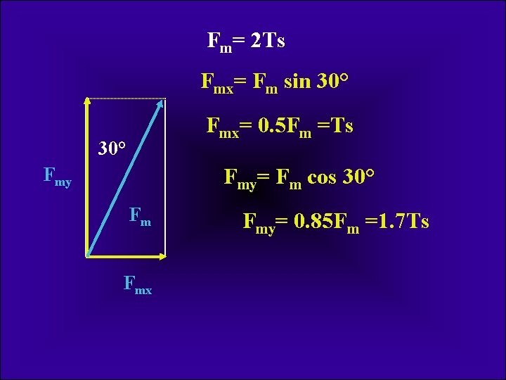 Fm= 2 Ts Fmx= Fm sin 30° Fmx= 0. 5 Fm =Ts 30° Fmy=