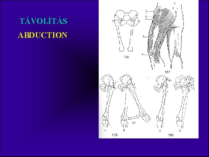 TÁVOLÍTÁS ABDUCTION 