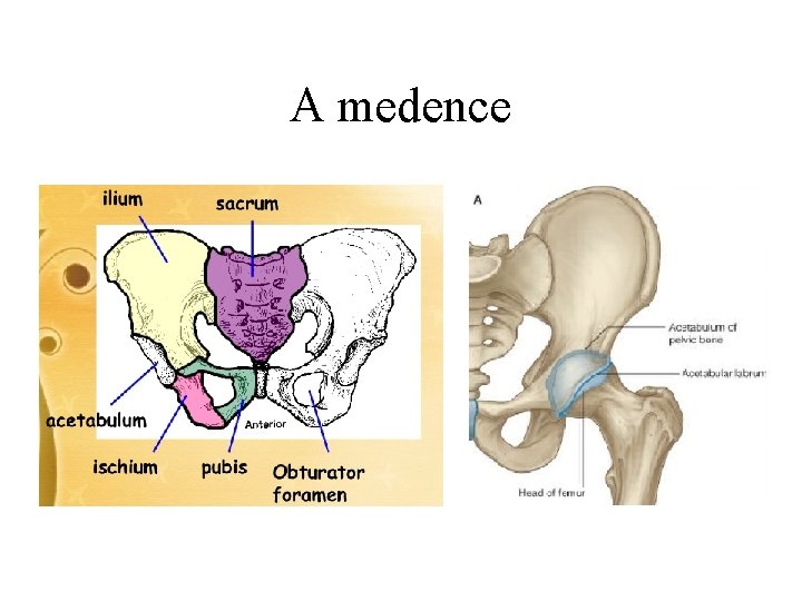 A medence 