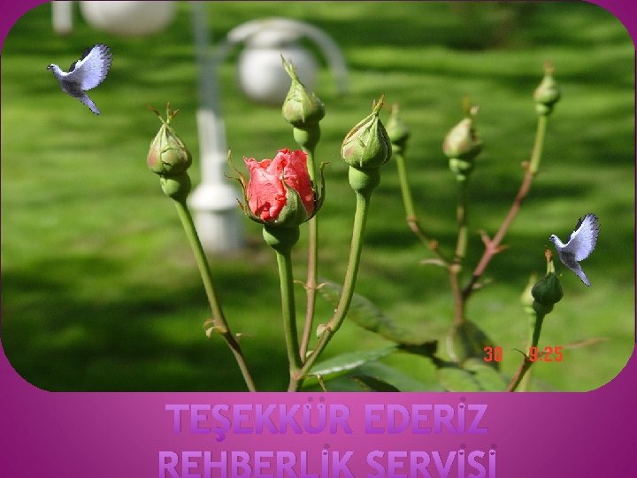 TEŞEKKÜR EDERİZ 