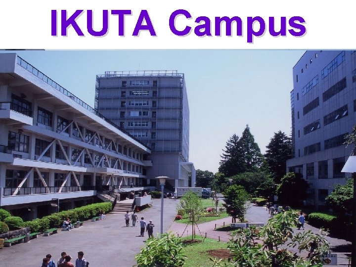 IKUTA Campus 