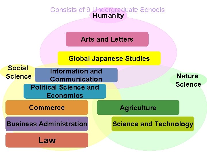 Consists of 9 Undergraduate Schools Humanity Arts and Letters Global Japanese Studies Social Science