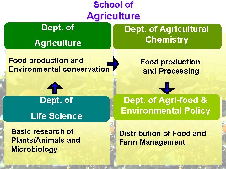 School of Agriculture Dept. of Agriculture Food production and Environmental conservation Dept. of Life