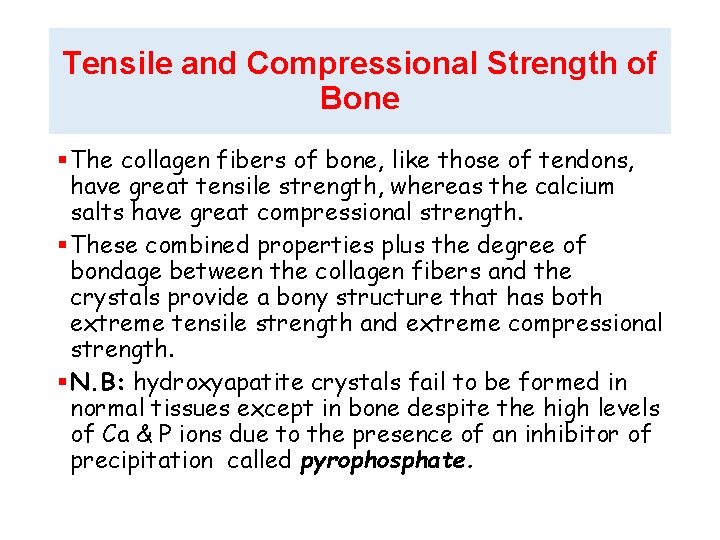 Tensile and Compressional Strength of Bone § The collagen fibers of bone, like those Tensile and Compressional Strength of Bone § The collagen fibers of bone, like those