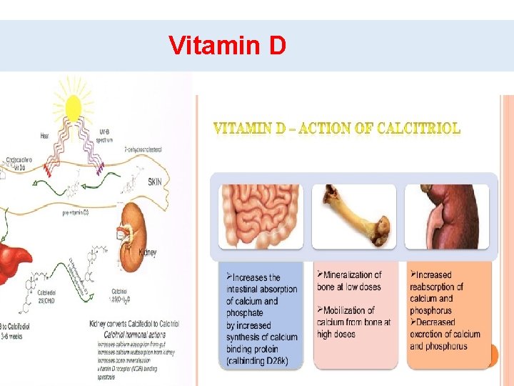 Vitamin D 