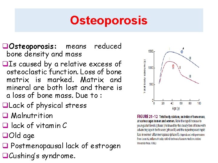Osteoporosis q. Osteoporosis: means reduced bone density and mass q. Is caused by a