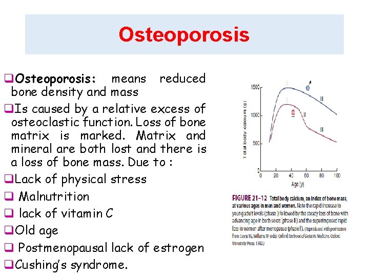Osteoporosis q. Osteoporosis: means reduced bone density and mass q. Is caused by a Osteoporosis q. Osteoporosis: means reduced bone density and mass q. Is caused by a
