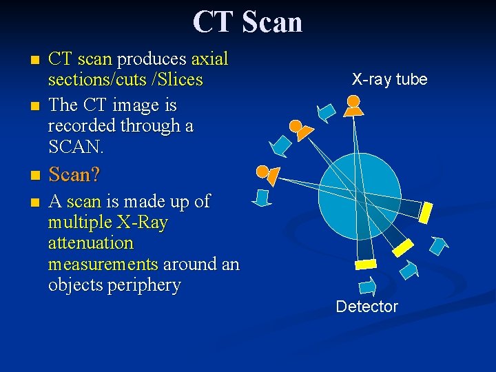 CT Scan n CT scan produces axial sections/cuts /Slices The CT image is recorded