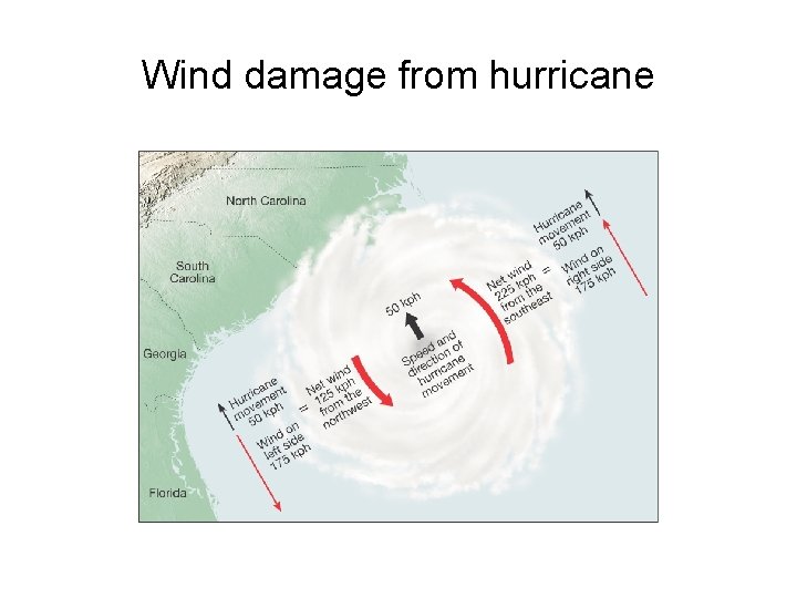 Wind damage from hurricane 