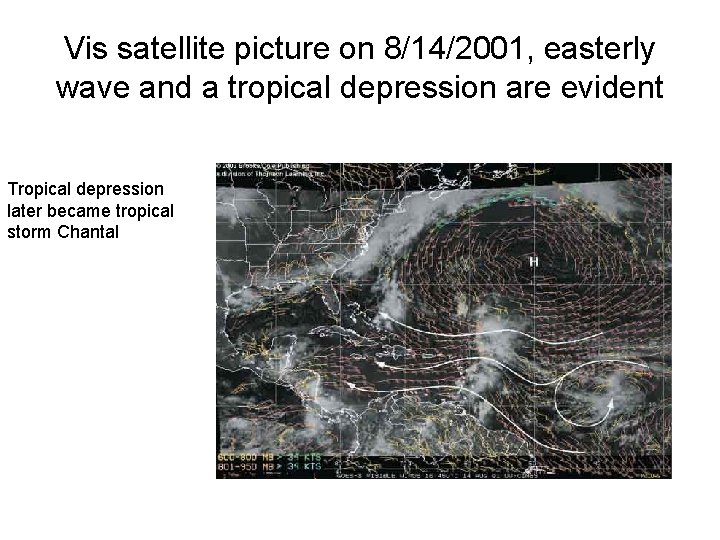 Vis satellite picture on 8/14/2001, easterly wave and a tropical depression are evident Tropical