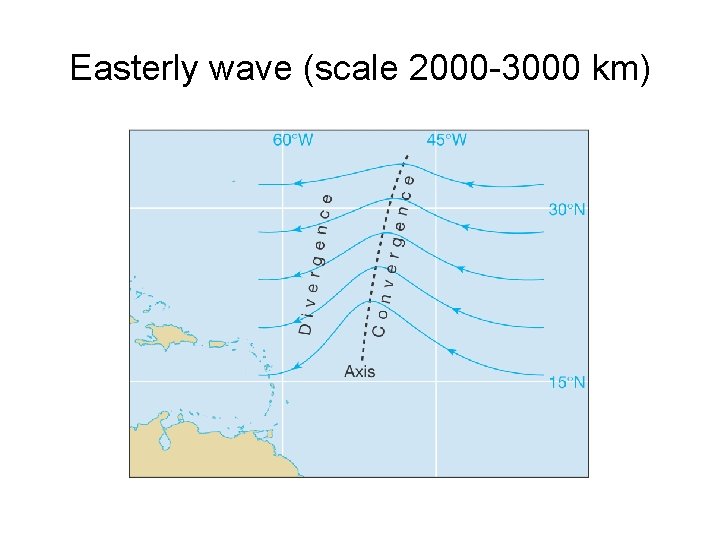 Easterly wave (scale 2000 -3000 km) 