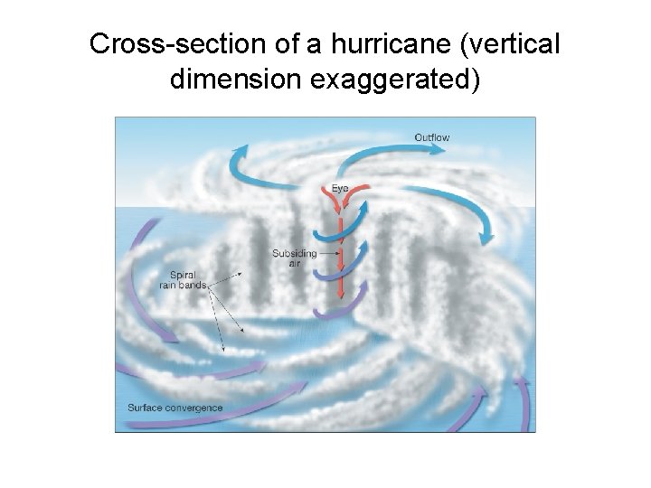 Cross-section of a hurricane (vertical dimension exaggerated) 