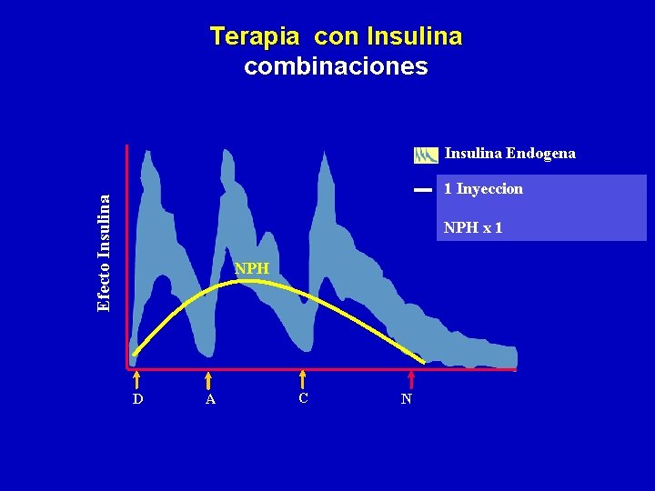 Terapia con Insulina combinaciones Insulina Endogena Efecto Insulina 1 Inyeccion NPH x 1 NPH