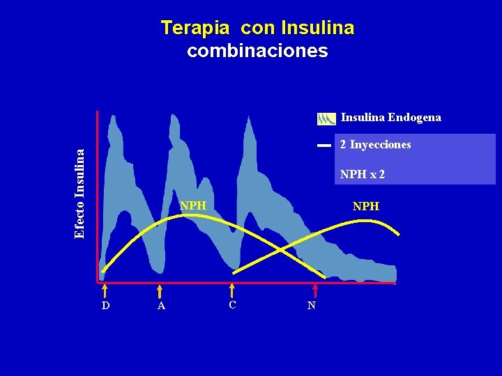 Terapia con Insulina combinaciones Insulina Endogena Efecto Insulina 2 Inyecciones NPH x 2 NPH