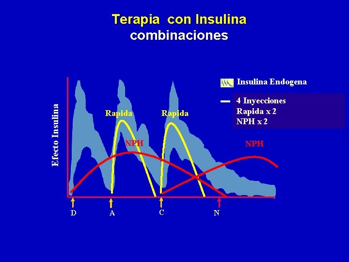 Terapia con Insulina combinaciones Efecto Insulina Endogena Rapida 4 Inyecciones Rapida x 2 NPH