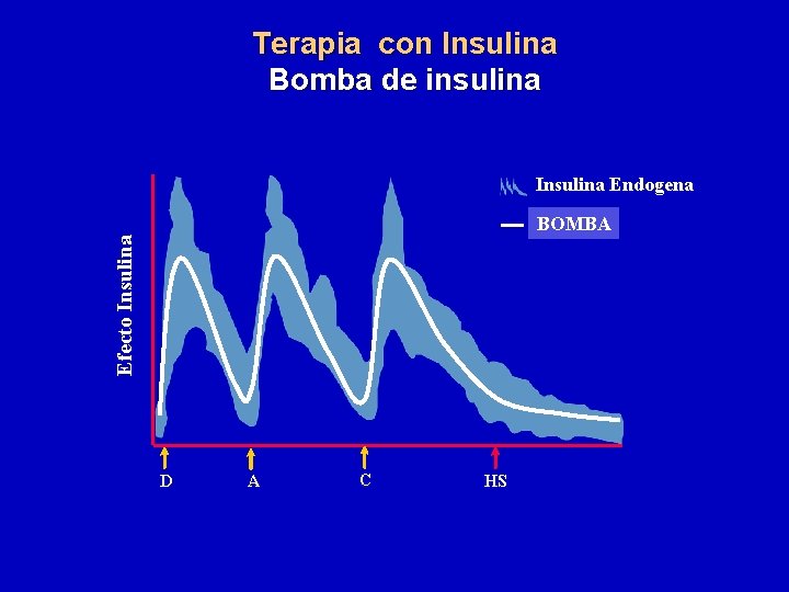 Terapia con Insulina Bomba de insulina Insulina Endogena Efecto Insulina BOMBA D A C