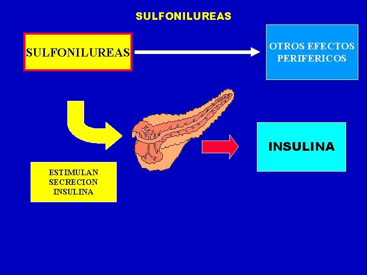 SULFONILUREAS OTROS EFECTOS PERIFERICOS INSULINA ESTIMULAN SECRECION INSULINA 